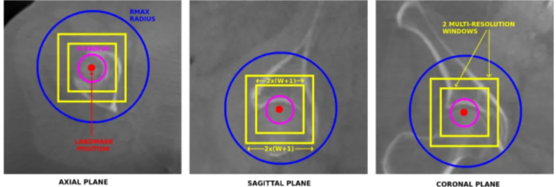 Figure 3: Illustration of the different parameters for one landmark in a CBCT scan. The multi-resolution windows describe the landmark voxel.