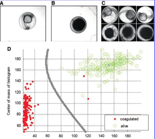 FIG. 6. Example for a phe- phe-notype recognition screen  in-cluding (A) a sample image of a living embryo in a microtiter plate well, (B) a sample image of a dead embryo, (C) three examples for living and dead (necrotic) embryos in different orientations 
