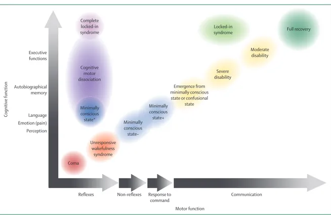 Figure 1: Motor and cognitive evolution following a severe brain injury