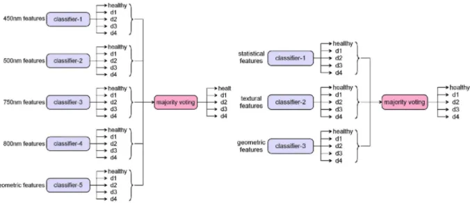 Fig. 8. Architectures of the ensemble systems for the multi-category fruit grading. The filter image-specific   (ensemble-01) scheme on the left and the feature type-specific (ensemble-02) scheme on the right.