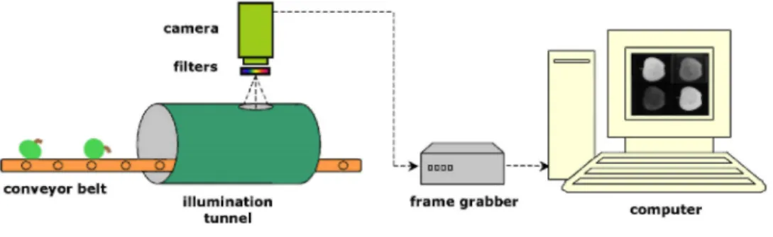Fig. 1. Illustration of the image acquisition system used.