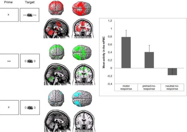 Figure 2. fMRI results. Left: Activation in the motor response condition (red), the primed no-response condition (green) and the neutral no- no-response condition (blue) minus baseline