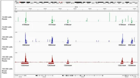 Figure 7. ChIP assays and library generation on 10,000 cells ChIP-seq experiments were generated on 10,000 and 100,000 HeLa-S3 cells using H3K4me3 antibody (0.25 µg/µl)