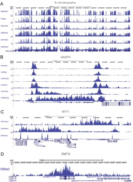 Figure 4. Histone ChIP-seq profiles generated by automated ChIP-seq experiments. The figure shows the ChIP-seq profiles in different genomic regions for H3K4me3, H3K9ac and H3K9/14acH3K4me2 H3K79me3, and H3K36me3