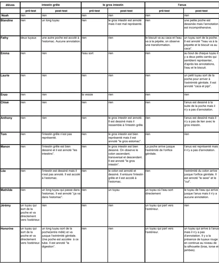 Tableau 8 : Retransription des données des silhouettes représentant le trajet des aliments pour le groupe en recherche documentaire (suite).