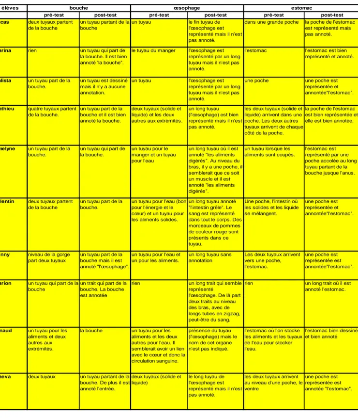 Tableau 11 :  Retransription des données des silhouettes représentant le trajet des aliments pour le groupe confronté à la vidéo.