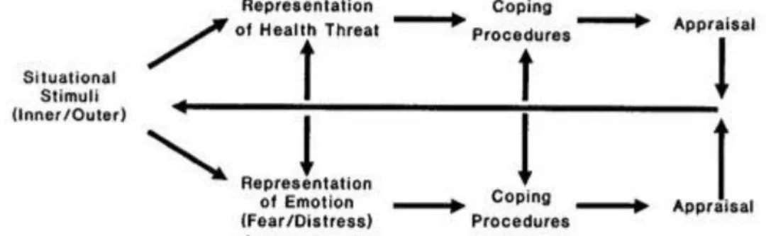 Figure 2. Les deux voies concomitantes, cognitive et émotionnelle, du modèle de l‟autorégulation