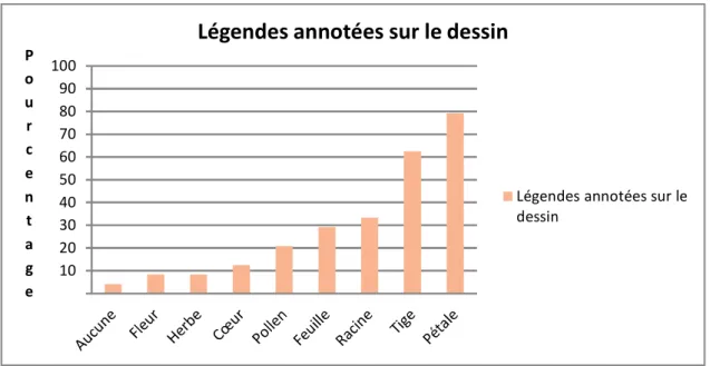 Figure 6: Légendes annotées sur le dessin