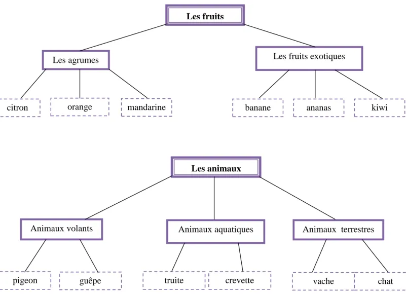 Figure 9 : exemples de prolongements possibles  