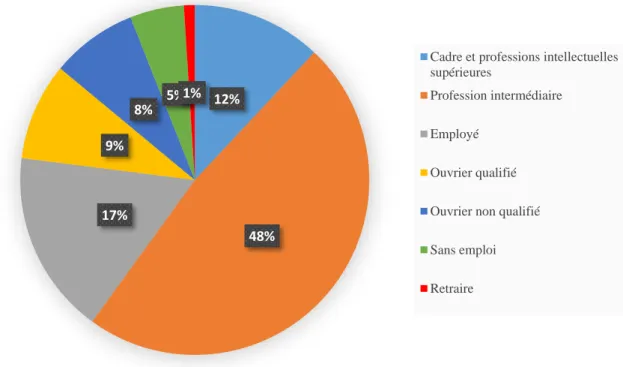 Figure 1 : Graphique représentant l'ensemble des professions des parents/responsables 