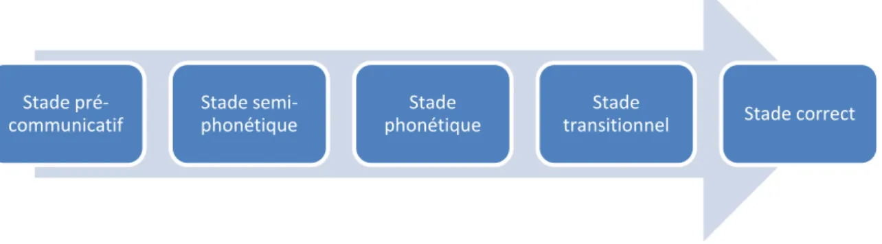 Figure 2 : modèle d'acquisition de l'écriture en cinq stades (Ehri, 1992) 
