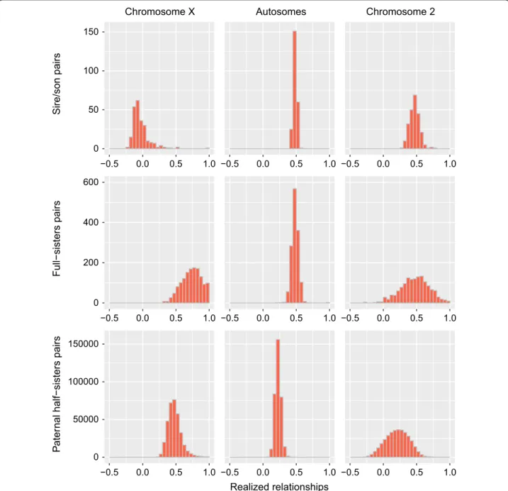 Fig. 2  Distribution of genomic correlations estimated with markers on the X-chromosome (left panel), on the 29 autosomes (center) or on  chromosome 2 (right panel)
