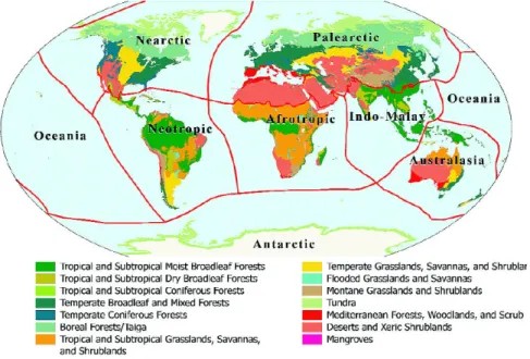 Figure 9.  Les biomes (sources : WWF, 