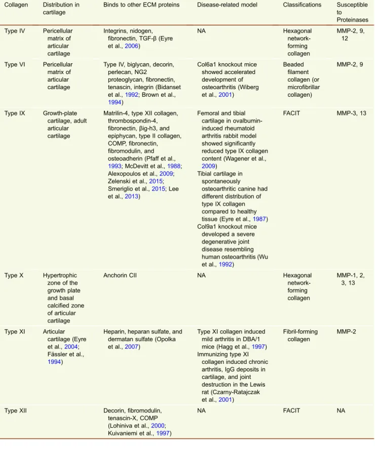 Table 1. Minor collagen overview Collagen Distribution in