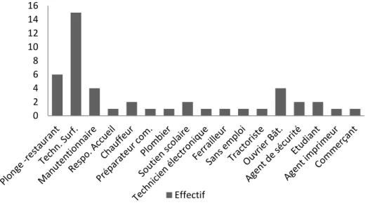 Figure 2 : Répartition des professions après émigration 