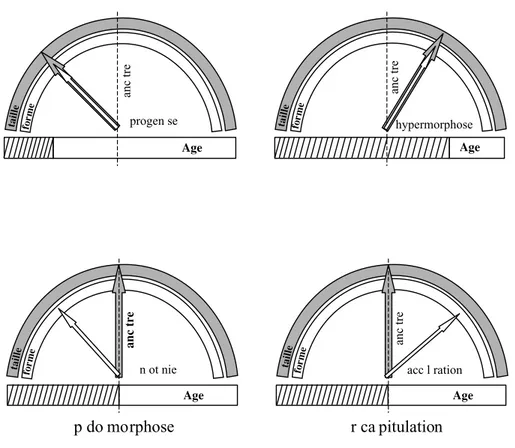 Fig. 1.  Modèle en horloge des processus hétérochroniques (redessiné d’après G OULD