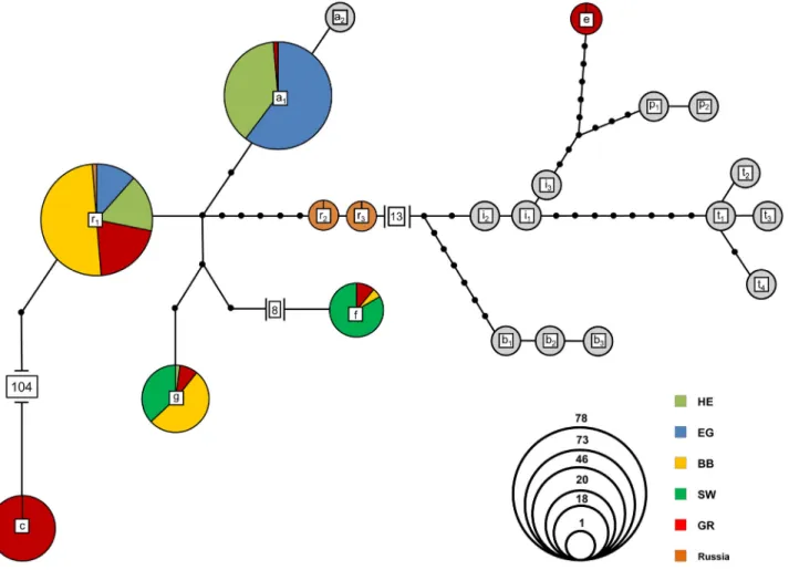 Fig. 3c) in DAPC whereas S TRUCTURE splits off a third group including samples from the Rhine watershed in Region SW but also from individuals of Region EG which likely dispersed from Poland to north-eastern Germany (yellow; Fig