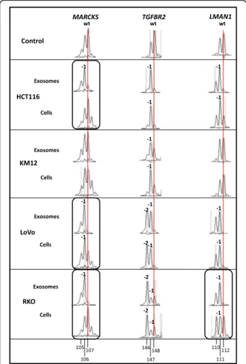 Fig. 2 Gene-specific cMNR frameshift mutations in exosomal and cellular DNA of different MSI CRC cell lines