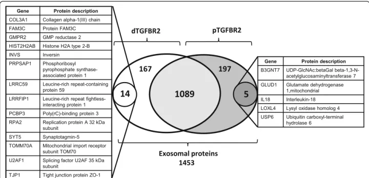 Fig. 3 TGFBR2-dependent exosomal proteome profile. Numbers refer to exosomal proteins that comprise the total proteome ( n = 1453) or define distinct protein subsets, whose expression is either shared by ( n = 1089) or restricted to exosomes released by TG