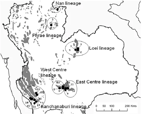 Figure  2  (modified  from  Latinne  et  al.,  2011):  Sampling  localities  of  the  115  Leopoldamys  neilli  analyzed  in  this  study  and  geographic  distribution  of  the  different  genetic  lineages  observed  within  L