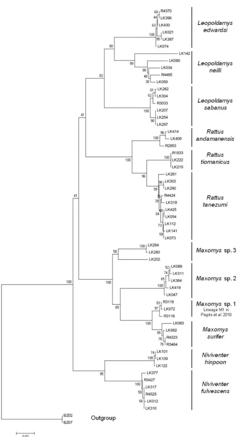 Figure 3:  Neighbor-Joining  phylogenetic tree depicting relationships among Rattini species  of Thai limestone karsts