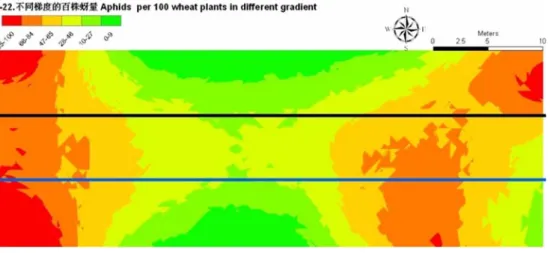 Fig. 2    The spatial distribution of Sitobion avenae simulated by Kriging interpolation on 22th Apr