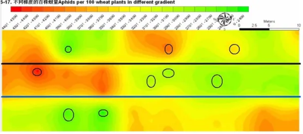 Fig. 5    The spatial distribution of Sitobion avenae simulated by Kriging interpolation on 17th May 