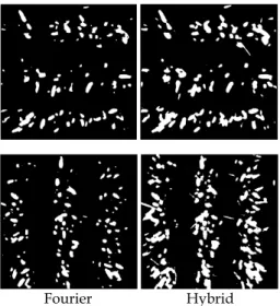 Fig. 13. Visual comparison between Fourier and Hybrid approach for two different images