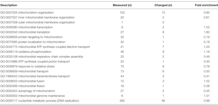 TABLE 2 | Mitochondria-related GO biological processes.