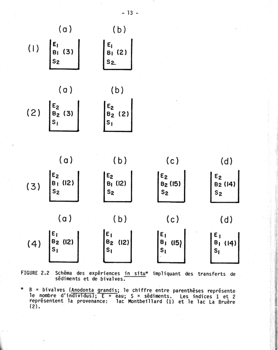 FIGURE  2.2  Schéma  des  experlences  in  situ*  impliquant  des  transferts  de  sédiments  et  de  bivalves