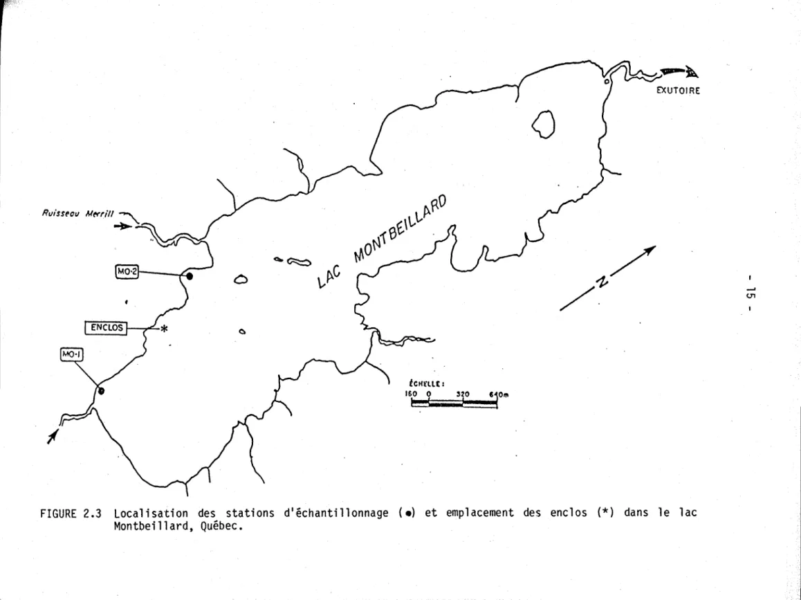FIGURE  2.3  Localisation  des  stations  d'échantillonnage  (0)  et  emplacement  des  enclos  (*)  dans  le  lac  Montbeillard,  Québec