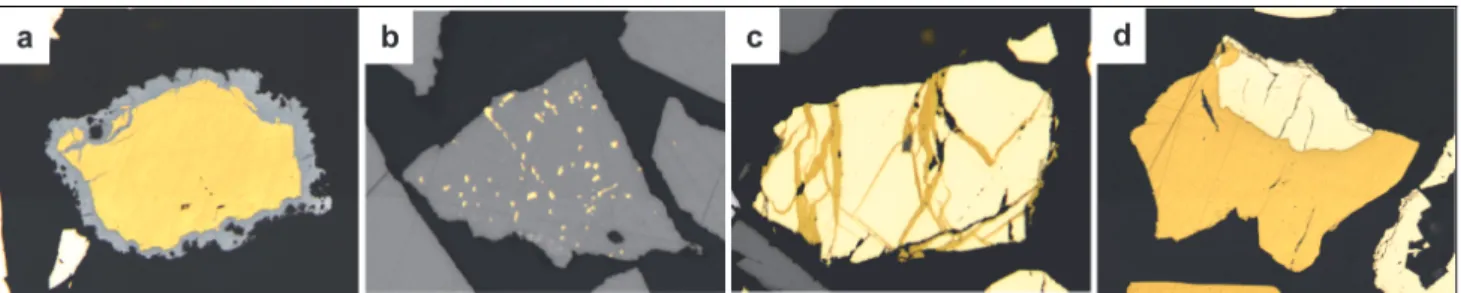 Fig. 1. Real ore particles to illustrate typical intergrowths described by Gaudin as the most relevant in flotation  (a: coated; b: emulsion; c: stockwork; d: simple)