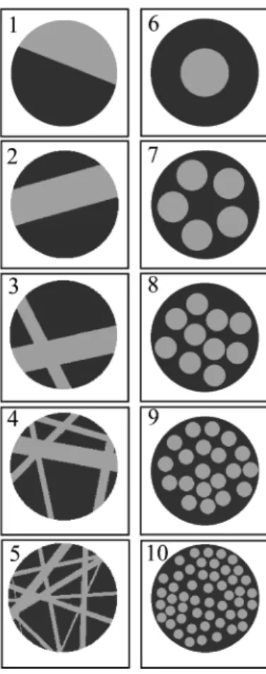 Fig. 2. Synthetic particles: from simple to branching  veins (1 to 5) and from one inclusion to multiple  in-clusions (6 to 10)