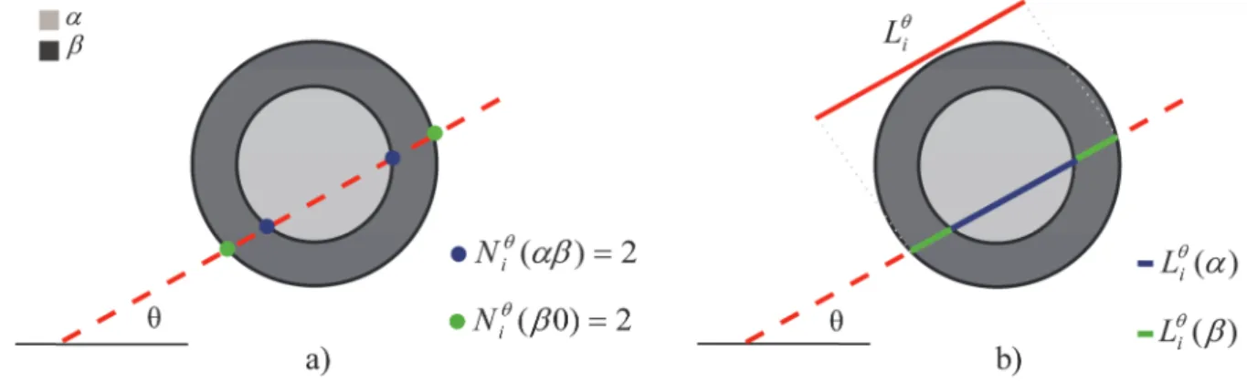 Fig. 3. Linear Intercepts Method applied to the measurement of the number of intersections (a) and the length of  test line across each particle’s component (b) for the ith line in direction θ