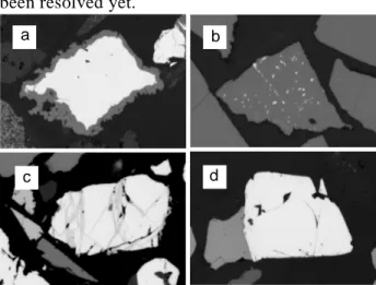 Figure 1: Real ore particles to illustrate typical intergrowths described  by Gaudin as the most relevant in flotation (a: coated; b: emulsion; c: 