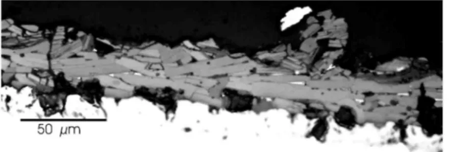 Fig. 6 : Optical polarised light micrograph of a YOX coating without magnetic field during deposition