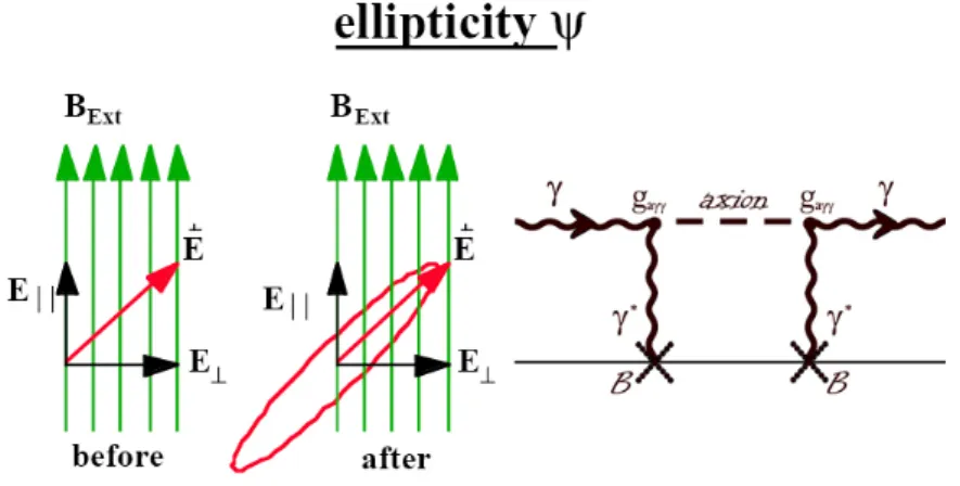 Fig. 2.3 – Bir´ efringence (Image adapt´ ee de [22]).