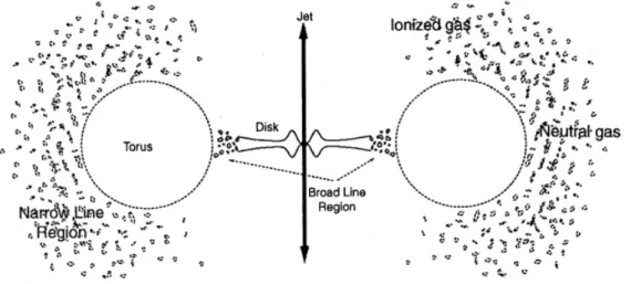 Fig. 1.1 – Sch´ ema repr´ esentant la morphologie d’un AGN telle qu’elle est mod´ elis´ ee aujourd’hui en th´ eorie (vue en coupe)