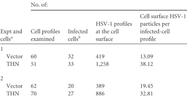 TABLE 1 HSV-1 particle counting at the cell surface