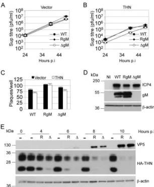 FIG 5 Ability of HSV-1 glycoproteins to remove tetherin from the cell surface and rescue HIV-1 from restriction