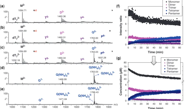 Figure 3. Kinetics of G-quadruplex formation by 80 mM dTG 5 T in 150 mM NH 4 OAc and 10% methanol