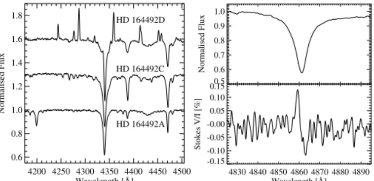 Fig. 1. Left panel: Stokes I FORS 2 spectra of three components of the multiple system ADS 10991 (HD 164492A, HD 164492C, and HD 164492D) in the vicinity of the Hγ line