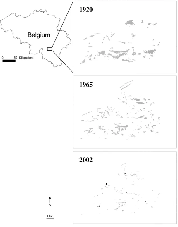 Fig. 1: Study site location in Belgium and calcareous grassland network at three time  periods