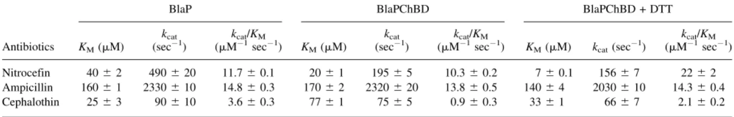 Table 2. Binding properties of b-lactamase and the chimeric protein in the absence or presence of DTT
