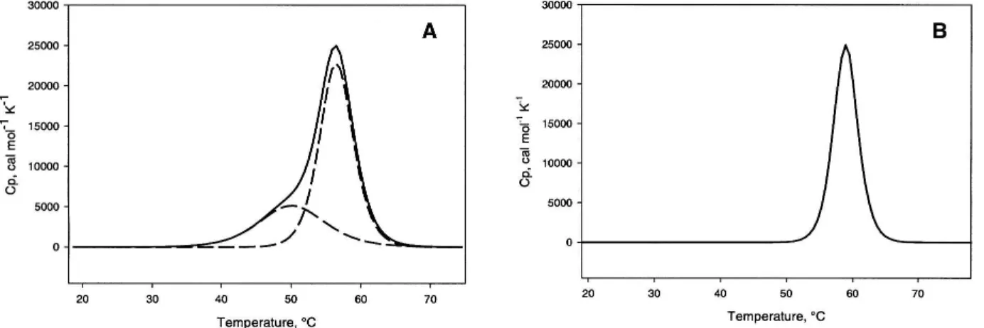 Figure 6. Intrinsic fluorescence spectra of (A) the chimeric protein and of (B) the parental b-lactamase