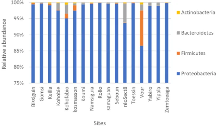 Fig. 1    Relative proportions of OTUs at the phylum level in all 17  samples (sites)