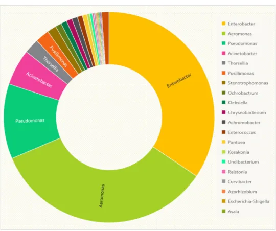 Fig. 2    Pie chart of the pre- pre-dominant genera (98.44% of  total OTUs) of Anopheles  gambiae Anopheles gambiae s.l  gut microbiota diversity at the  genus level