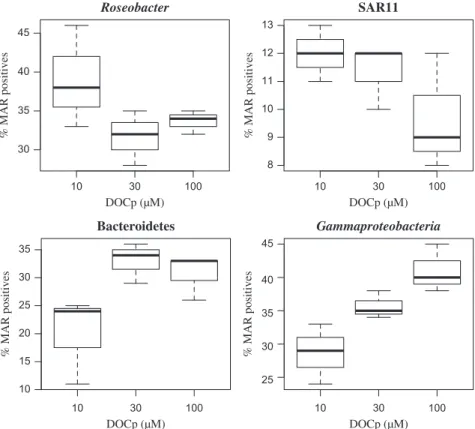 Figure 2 Bidimensional heat map of the IS between marine heterotrophic bacteria phylogenetic groups and different DOC sources at different concentrations