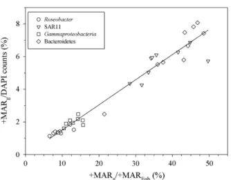 Figure 3 Type II linear regression between two different IS metrics: %+MAR+ g /DAPI counts = % +MAR+ g /MAR+ Eub × 0.154 −