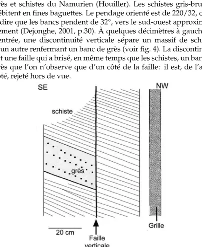 Figure 4. Issue de la mine de la Diguette. Une faille verticale affecte le schiste (pointillé fin) et un banc de grès (gros points).